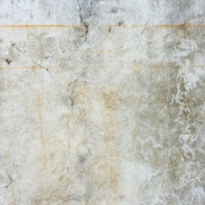 建物保護（鋼筋防鏽）